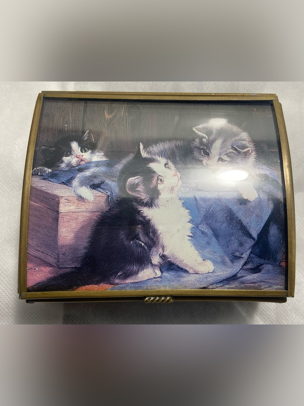Rare Vintage Kitten Music Box & Jewelry Holder brass glass music box